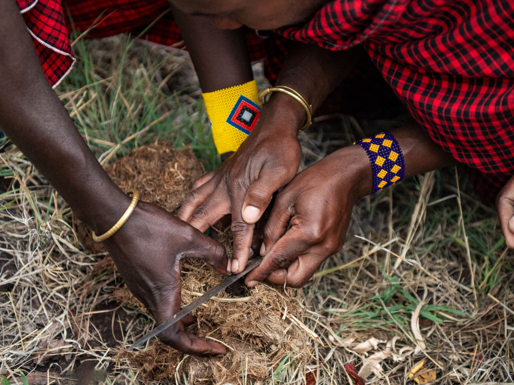 Massai geben den Funken in den ELefantendung